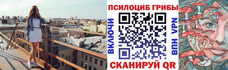 где найти наркотики  Сортавала  Галлюциногенные грибы Psilocybe 